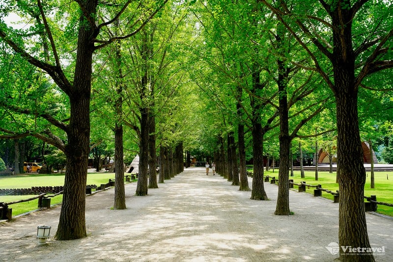 Seoul – Đảo Nami                                                                                                 